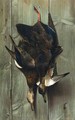 Hanging Ducks - Alexander Pope