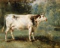 A Cow in a Landscape - Constant Troyon