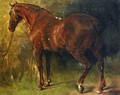 The English Horse of M. Duval - Gustave Courbet