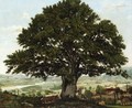 La plaine dAnnecyu-Chene le vaterant des Alpes - Jean-Jacques Rousseau