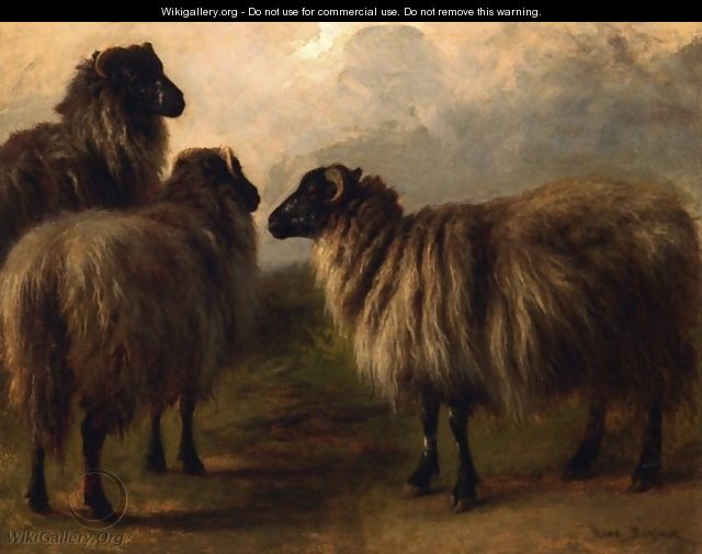 Three Wooly Sheep - Rosa Bonheur