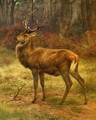 Stag in an Autumn Landscape - Rosa Bonheur