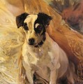 Portrait of a Jack Russell - Joaquin Sorolla y Bastida