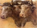 Heads of Two Oxen, Study for 