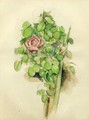 Rose Bush - Paul Cezanne