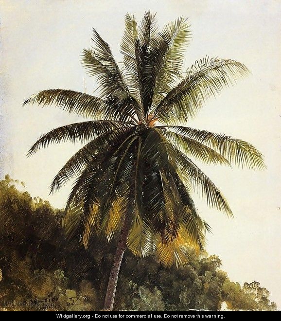 Palm Trees, West Indies - Frederic Edwin Church