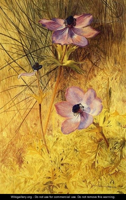 Florentine Wild Anemones - Henry Roderick Newman