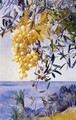 A Cluster of Grapes - Henry Roderick Newman