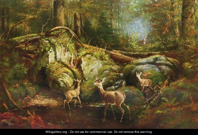 Deer in the Adirondacks - Arthur Fitzwilliam Tait