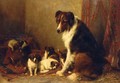 A Collie and Her Puppies - Otto Eerelman