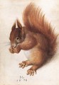 Squirrel - Hans Hoffmann