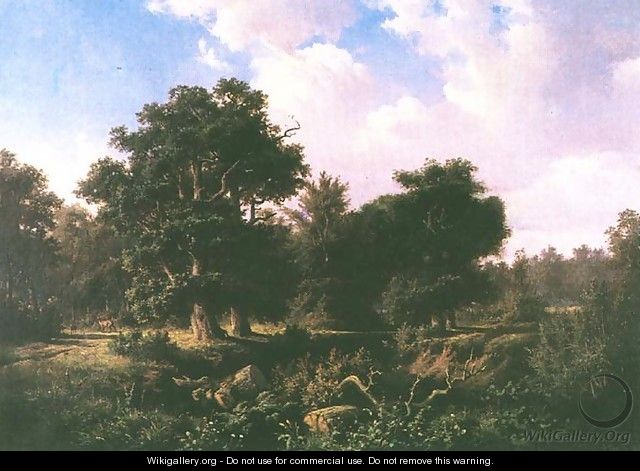 Forest with the European Roe Deer - Georg Engelhardt