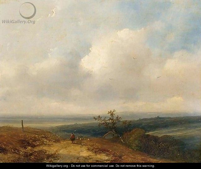 Shepherd in an Extensive Landscape - Johannes Franciscus Hoppenbrouwers
