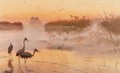 Dawn. The Kingdom of Birds - Jozef Chelmonski
