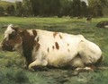 Cow - Julien Dupre