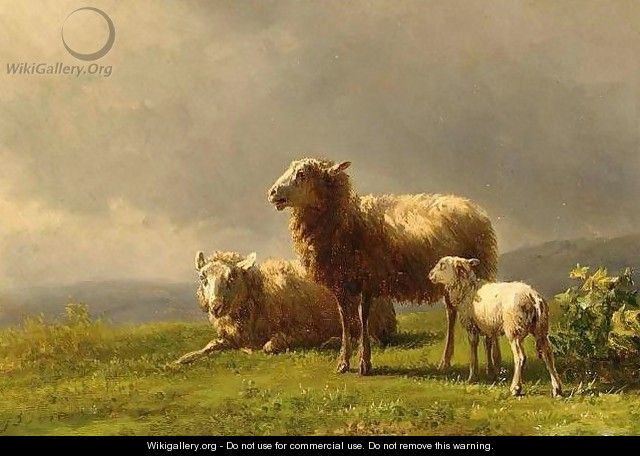 Sheep in a Meadow - Jan Bedijs Tom