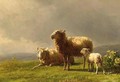 Sheep in a Meadow - Jan Bedijs Tom