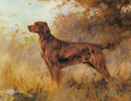 A Red Setter - Percival Leonard Rosseau