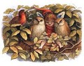 Fairy and Owls - Richard Doyle