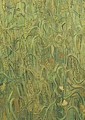 Ears Of Wheat - Vincent Van Gogh