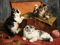 Kittens at Play - Charles van den Eycken