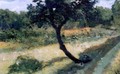 Tree in the Field (Arbre dans le champ) - Leon Kaufmann (Kamir)