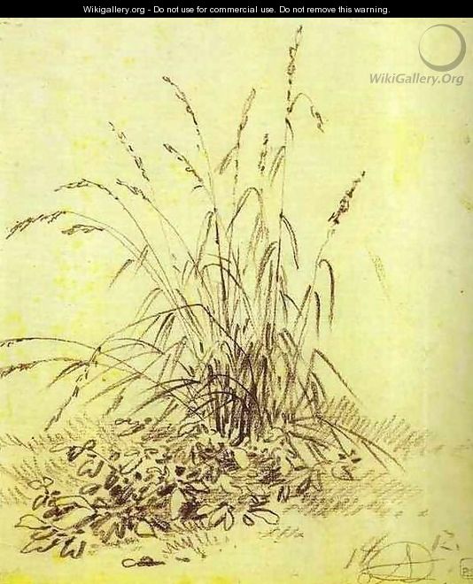 Grass - Aleksander Orlowski