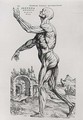 Musculature Structure of a Man - Andreas Vesalius