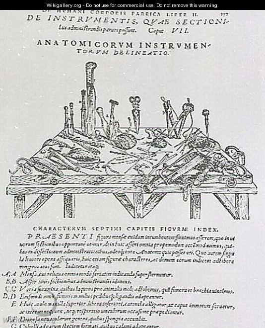 Instruments for Dissections - Andreas Vesalius