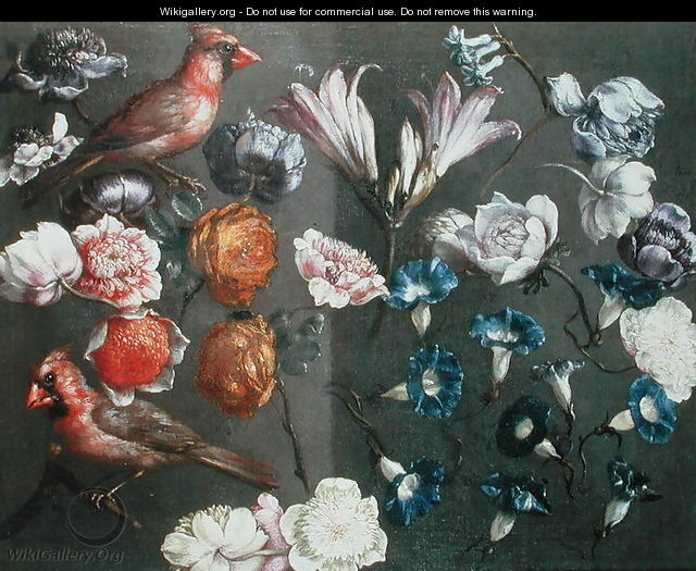 A Study of Peonies, Convolvulus, Lilies and two Finches - Gaspar Peeter The Elder Verbruggen