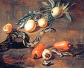 Still Life of Fruits from Surinam and Reptiles - Dirk Valkenburg