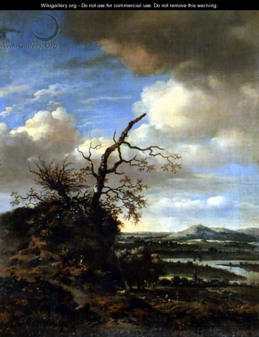 Extensive River Landscape c.1665-1670 - Jan Wynants
