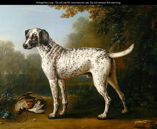 Grey spotted hound, 1738 - John Wootton