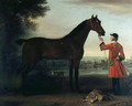 Red Robin, c.1743-6 - John Wootton