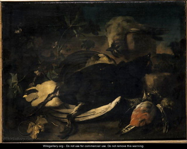Dead fowl - Franz Werner von Tamm