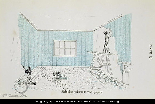 Stripping poisonous wall papers, illustration from Dangers to Health: A Pictorial Guide to Domestic Sanitary Effects, published 1897 - Thomas Pridgin Teale
