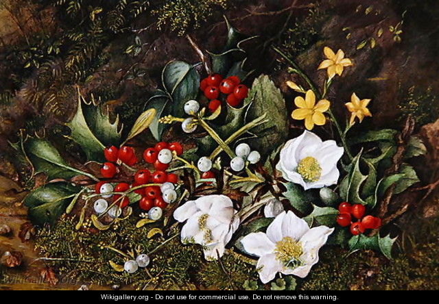 Holly and Christmas Roses - Jane Taylor