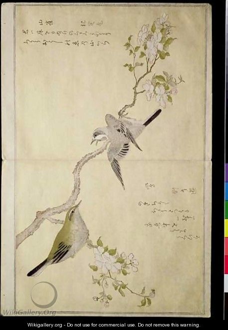 Tit on a bough on the right and a Bush-warbler on a branch on the left, from an album Birds compared in Humorous Songs, 1791 - Kitagawa Utamaro