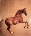 Whistlejacket 1761-62 - George Stubbs