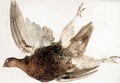 Grouse, from The Farnely Book of Birds, c.1816 - Joseph Mallord William Turner