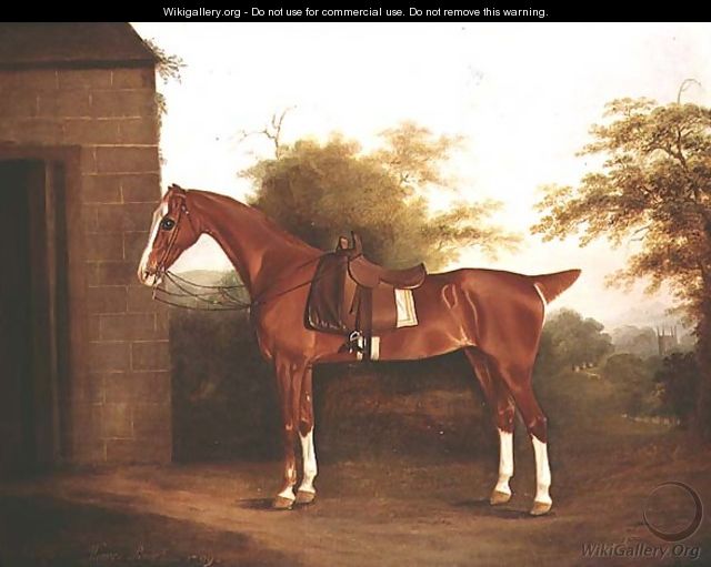 Horse with side saddle - Thomas Weaver