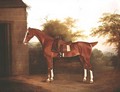 Horse with side saddle - Thomas Weaver