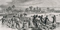 Labour in the Cotton Fields, Hoeing the Young Plants, illustration from Harpers Weekly, 1867, from The Pageant of America, Vol.3, by Ralph Henry Gabriel, 1926 - Alfred R. Waud