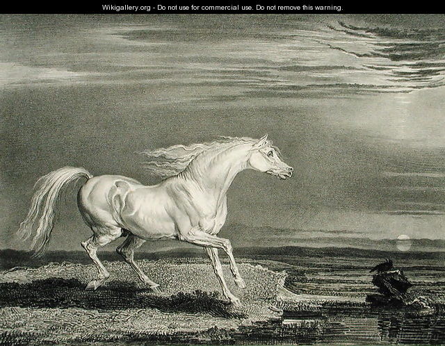 Marengo, from Celebrated Horses, a set of fourteen racing prints published by the artist, 1823-24 - James Ward