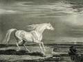 Marengo, from Celebrated Horses, a set of fourteen racing prints published by the artist, 1823-24 - James Ward