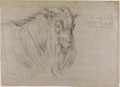 Study of the Head of a Ram - James Ward