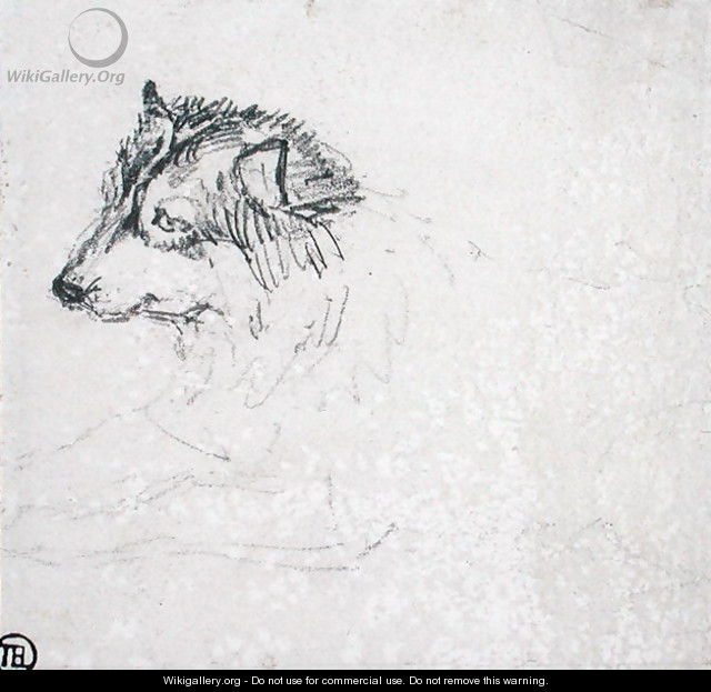 Arctic dog, facing left - James Ward
