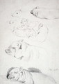 Studies of Pigs - James Ward