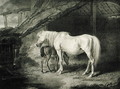 Primrose and Foal, from Celebrated Horses, a set of fourteen racing prints published by the artist, 1823-24 - James Ward