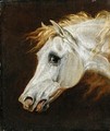 Head of a Grey Arabian Horse - Martin Theodore Ward